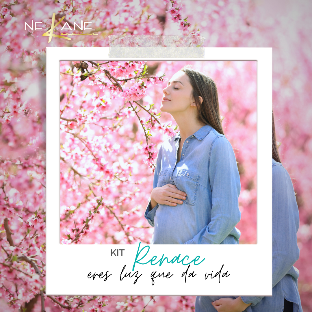 Kit Renace